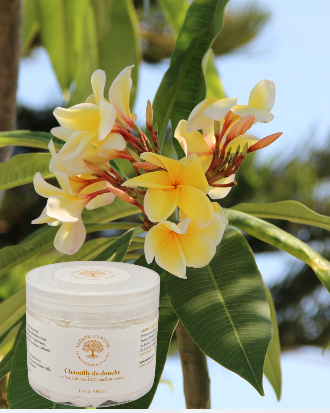 Gel douche exfoliant lait d'ânesse parfum monoï avec fleur de tiaré